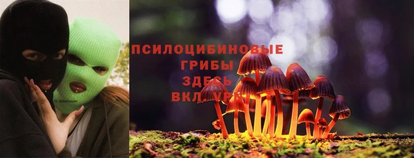 мяу мяу кристалл Коряжма