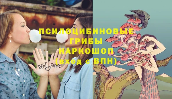 мяу мяу кристалл Коряжма