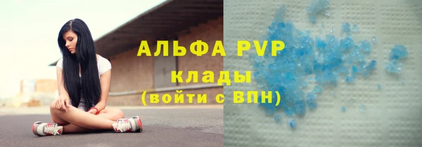 гашик Корсаков