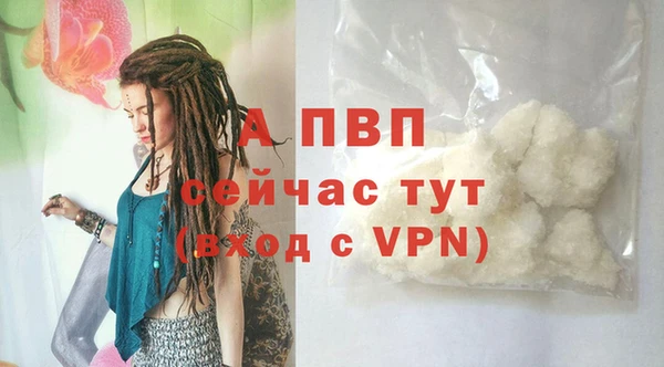 гашик Корсаков