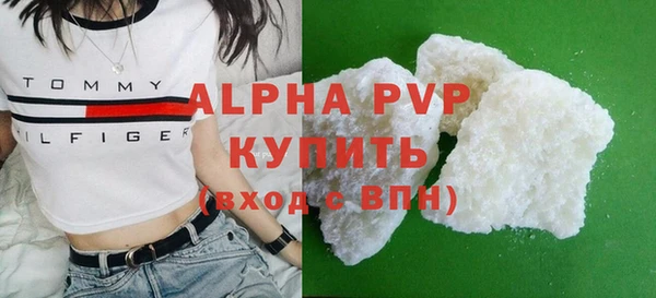 гашик Корсаков