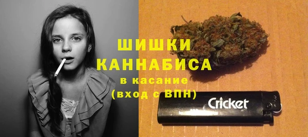 гашик Корсаков